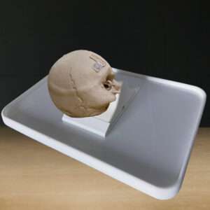 Temporal bone MAX with mount and plate