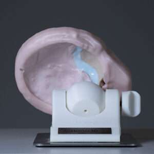 Temporal Bone Ear Model