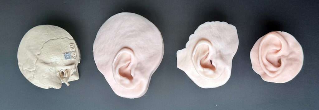 Anatomex 3D industry partners for temporal bones
