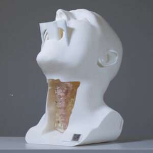 Larynx Model with suspension laryngoscope