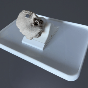 Temporal Bone REG with mount and plate